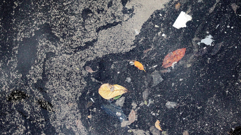 Illustration for article titled Shocking Photos from the Water Sports Site of the Rio Olympics